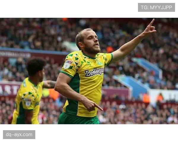 诺维奇焕发新活力:城市发展与球队前景引发热议 诺维奇焕发新活力:城市发展与球队前景引发热议