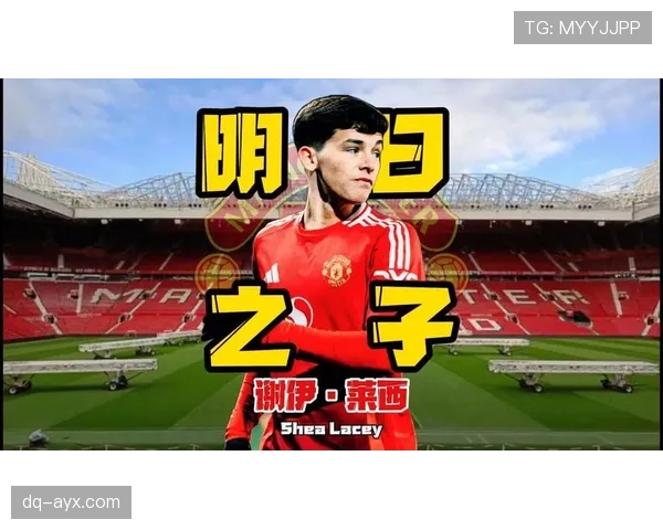 谢菲联新援迅速融入，状态回升为新赛季注入新活力